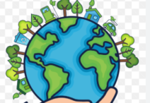 La importancia del cuidado del medio ambiente