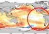 Crisis climática en Colombia (fenómeno del niño)