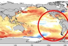 Crisis climática en Colombia (fenómeno del niño)