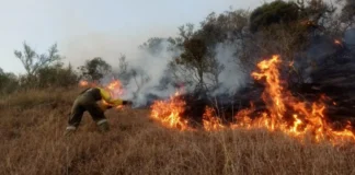 Emergencia ambiental en Colombia: Más de 340 municipios en alerta roja por incendios forestales